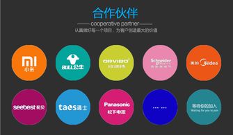 迅速開發(fā)與運營 智能電器產(chǎn)品的電子商務平臺模式探析